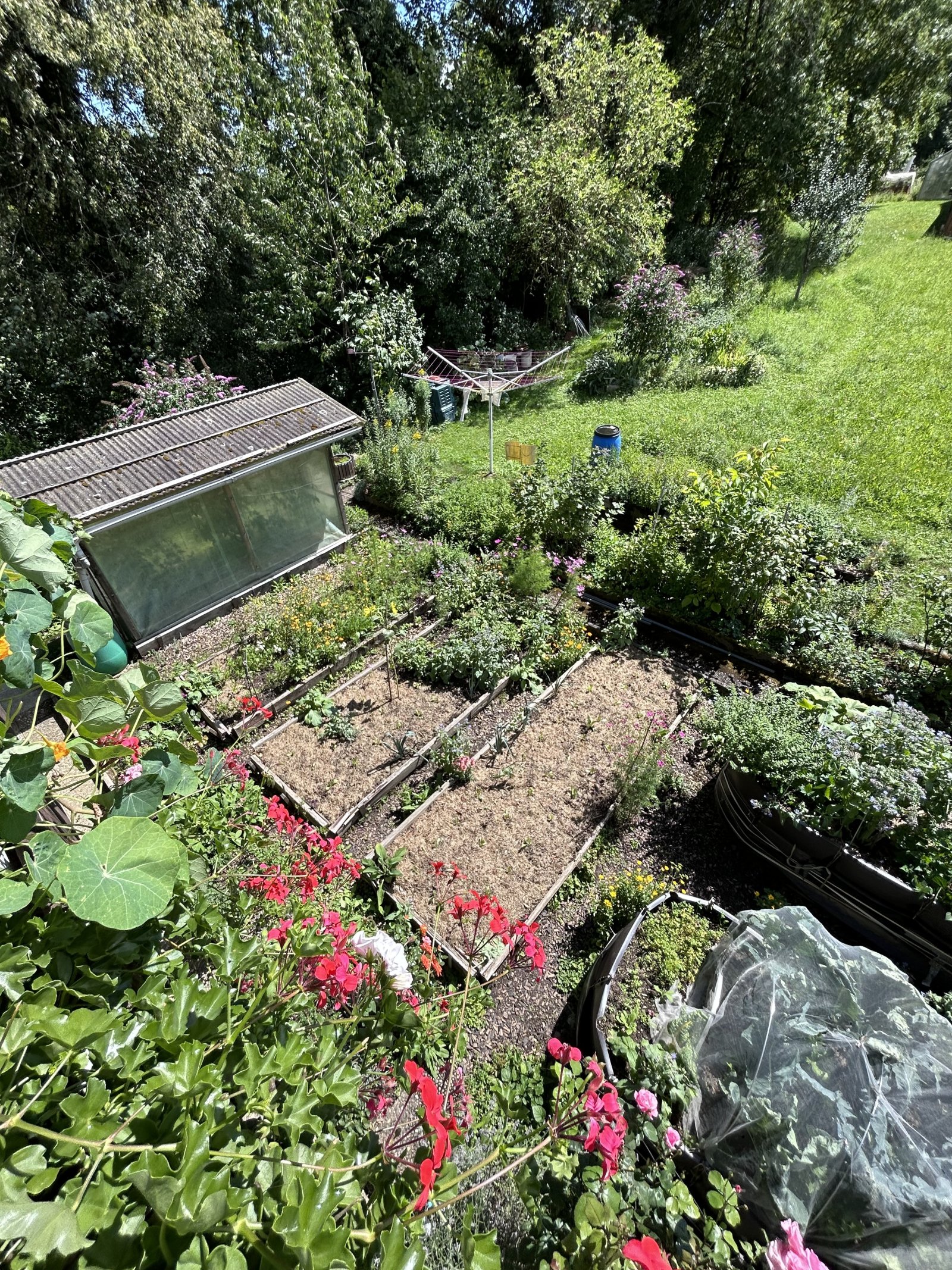 gepflegter Garten mit eingeteilten Beeten