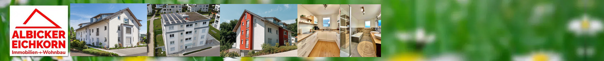 Albicker-Eichkorn Bau GmbH Albicker-Eichkorn Bau GmbH